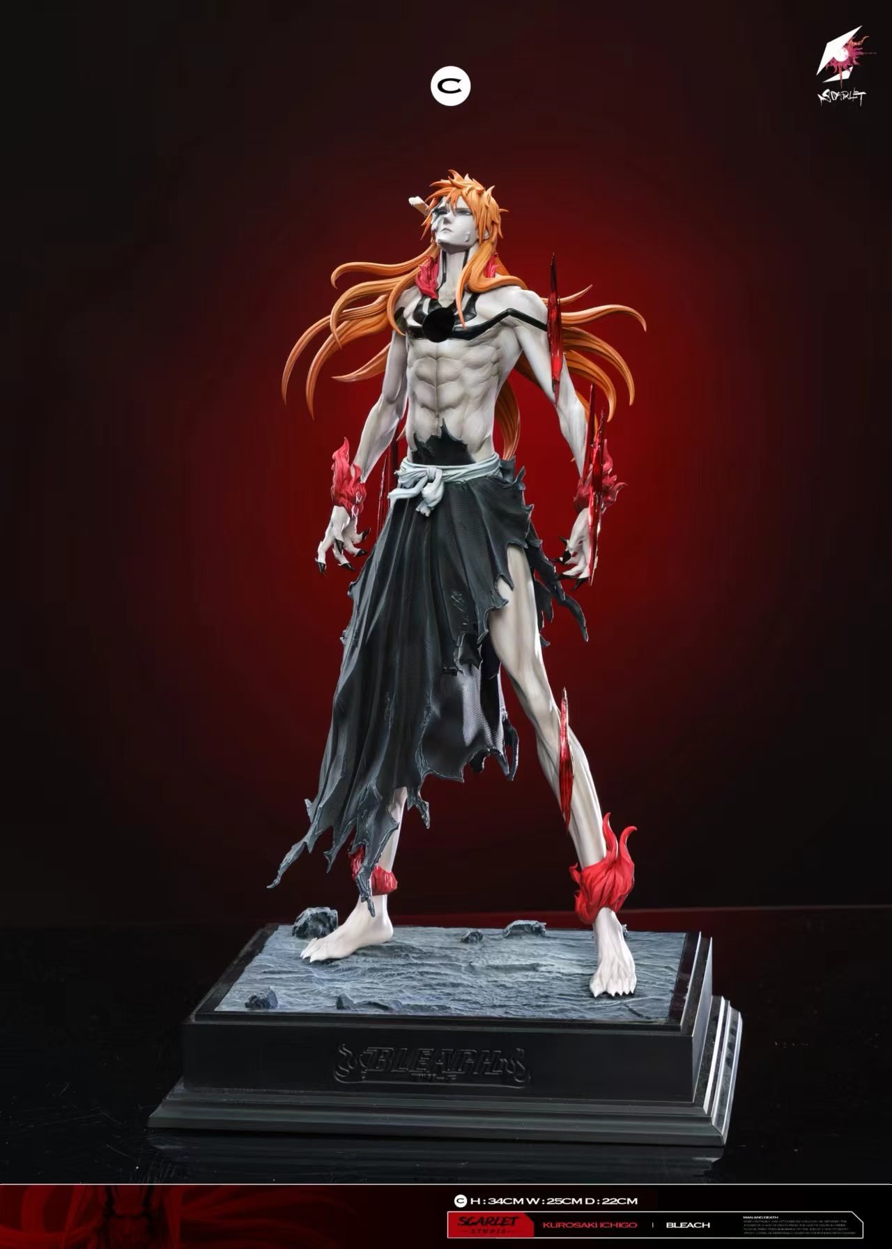 Scarlet STUDIO - Kurosaki Ichigo - Image 4